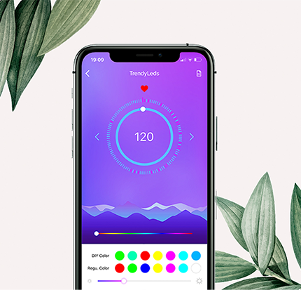 Trendy LEDs Banner